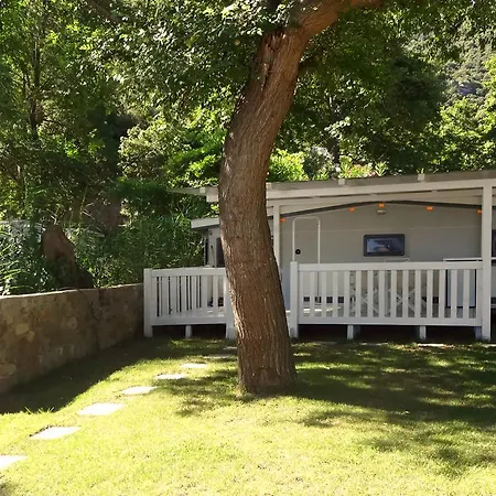 Akti Oneirou Camping And Bungalows